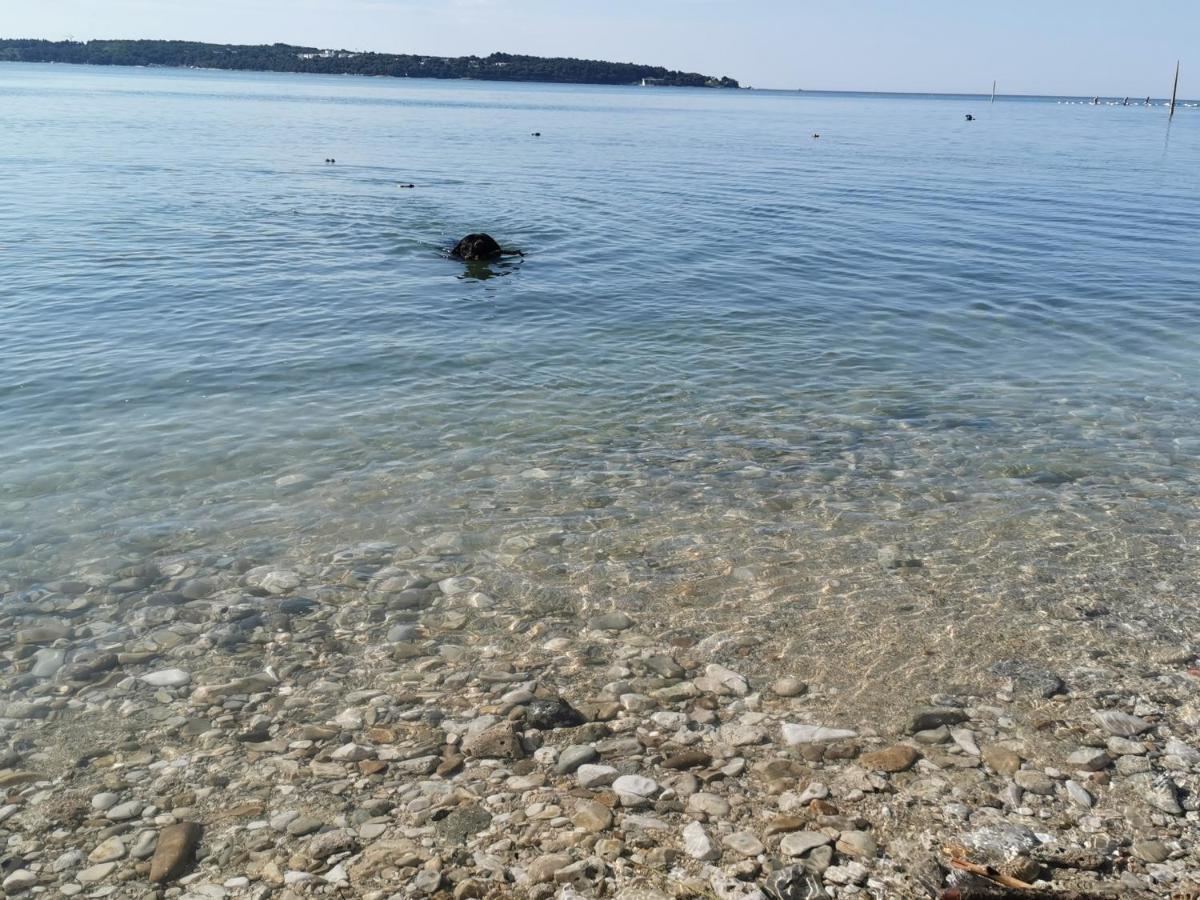 Lora Deluxe Superior 5 Star Apartment, Your Piece Of Heaven By The Sea & Park With Sea & Park View Novigrad  Exterior photo