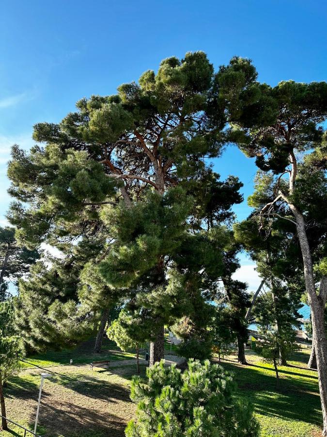 Lora Deluxe Superior 5 Star Apartment, Your Piece Of Heaven By The Sea & Park With Sea & Park View Novigrad  Exterior photo